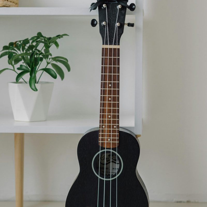 Stylish black ukulele resting against a shelf with a potted plant creates a serene indoor setting.